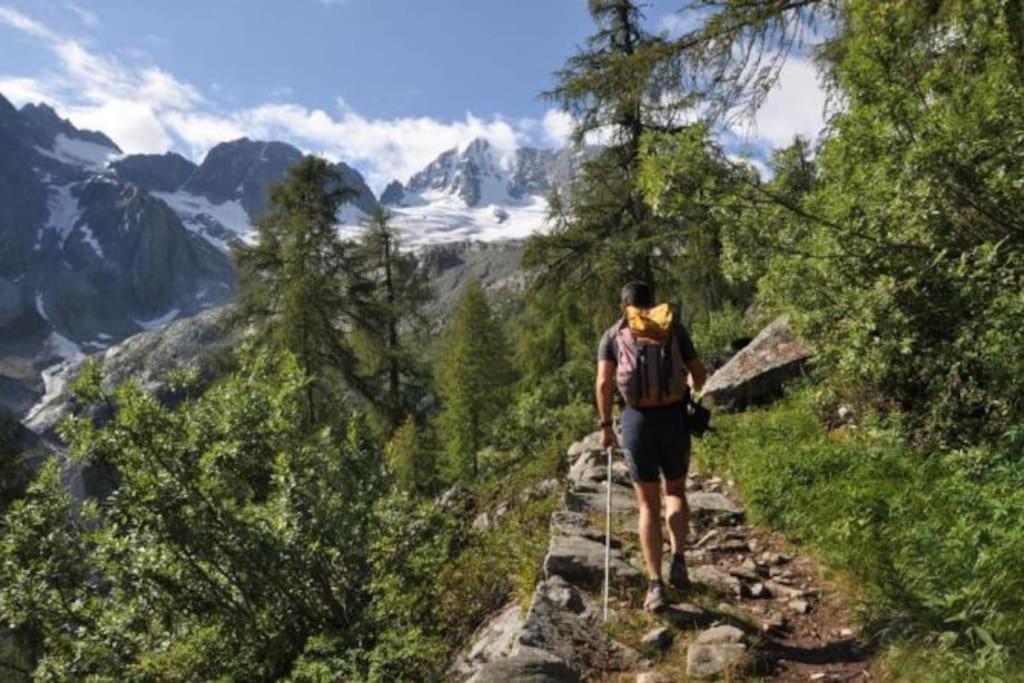 Chalet Rustico Bertolini Per Gruppi! Villa Vermiglio Kültér fotó